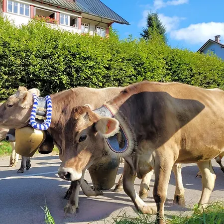 Daheim Nr 2 - Suedwesterhaus Allgaeu Lägenhet Oberstaufen