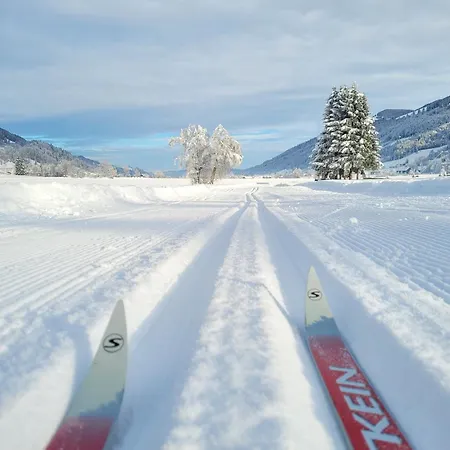 Daheim Nr 2 - Suedwesterhaus Allgaeu Lägenhet Oberstaufen