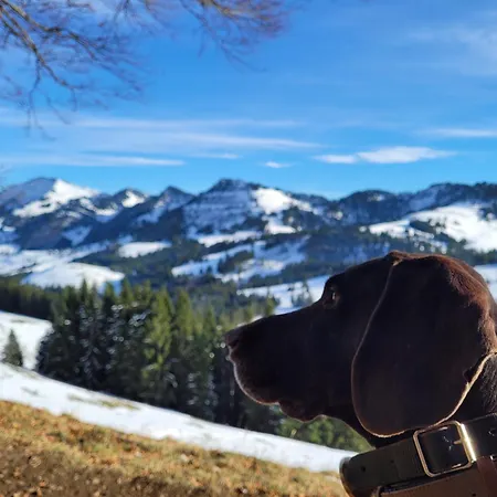 Daheim Nr 2 - Suedwesterhaus Allgaeu Lägenhet